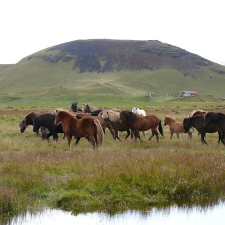 Guesthouse Vellir Vík Εξωτερικό φωτογραφία